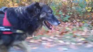 Fahrradausflug mit Ella und Benni in Schlosspark und Hardtwald