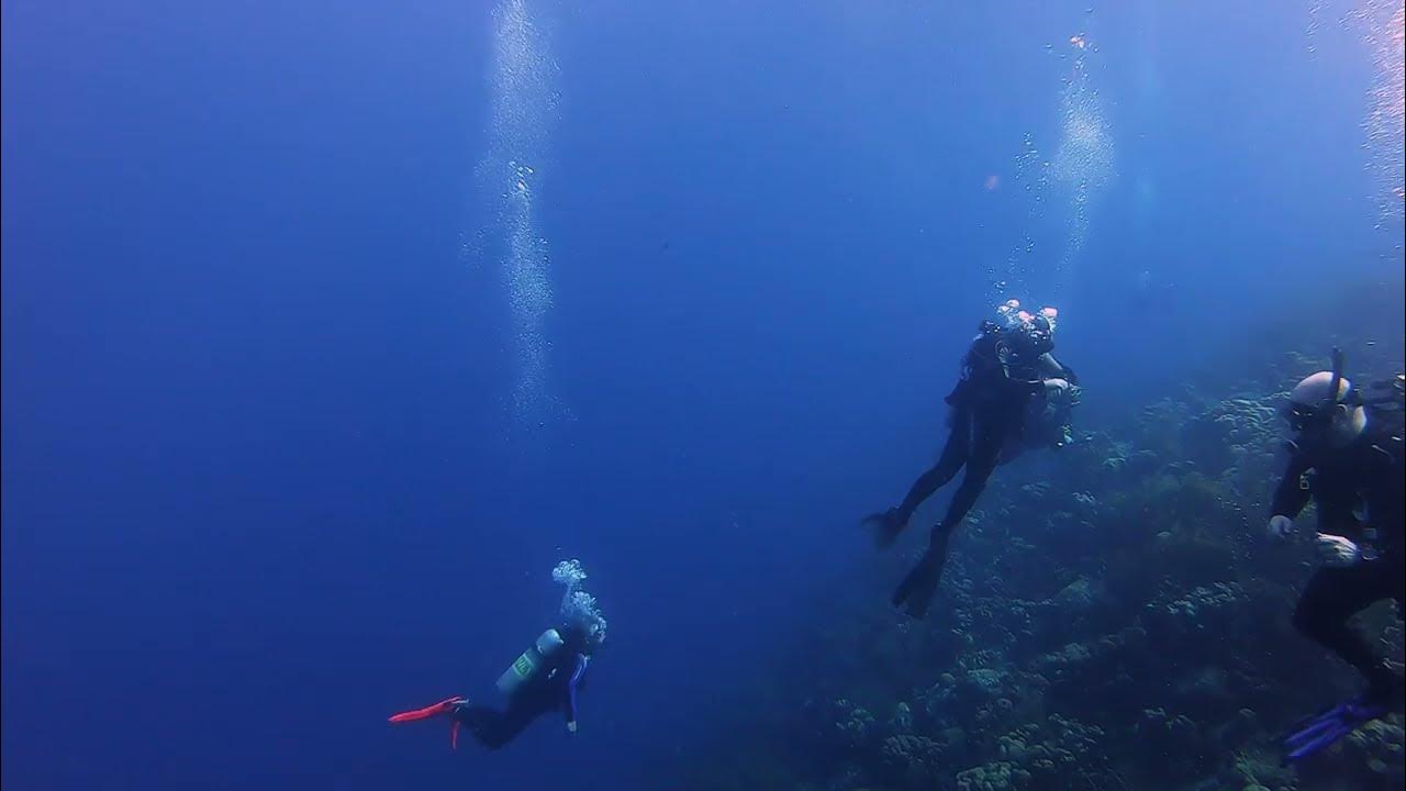 9 dives