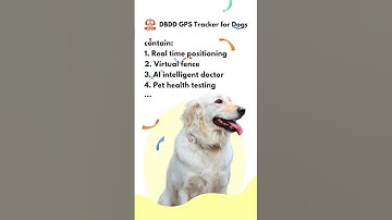 DBDD is your and your dog