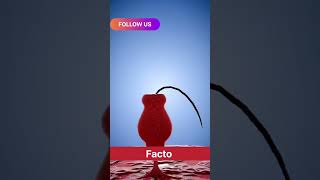 fact | did you know | learning education | knowledge | short movie clip | explain video |