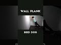 Wall Plank Bird Dog #exercise #rehabilitation #youtubeshorts #physicaltherapy #rehab #exercisetips