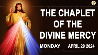 Chaplet of the Divine Mercy I Monday April 29 2024 I Divine Mercy Prayer I 12.00 PM