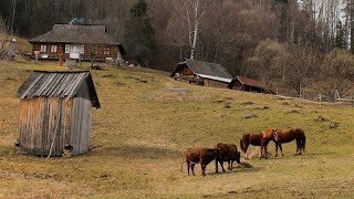 Жизнь в горах. 5 дней с большой семьей, живущей вдали от цивилизации