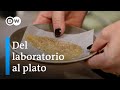 Carne de pollo cultivada en el laboratorio