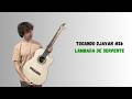 Tocando Djavan #26: Lambada de Serpente (Participação Especial: Família)