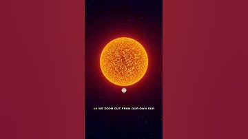 The Largest Star in the Universe