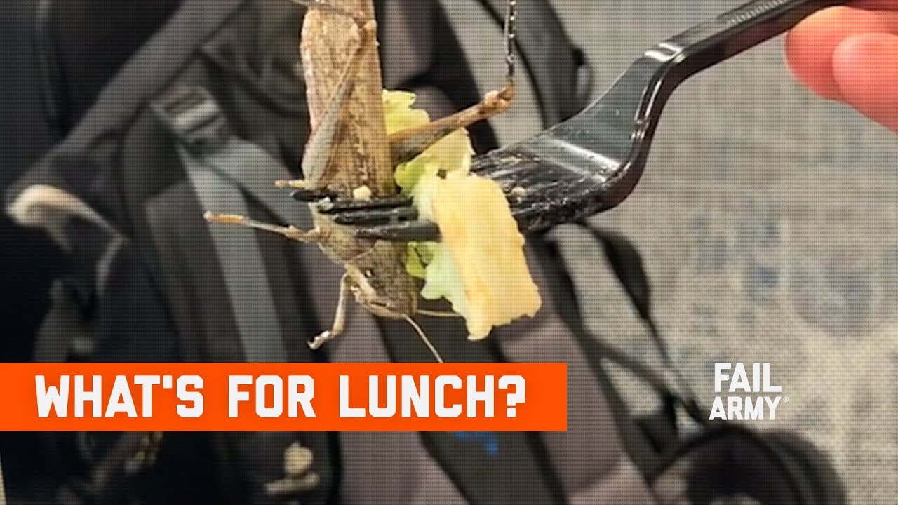 ⁣What's For Lunch? Food Fails (November 2019) | FailArmy