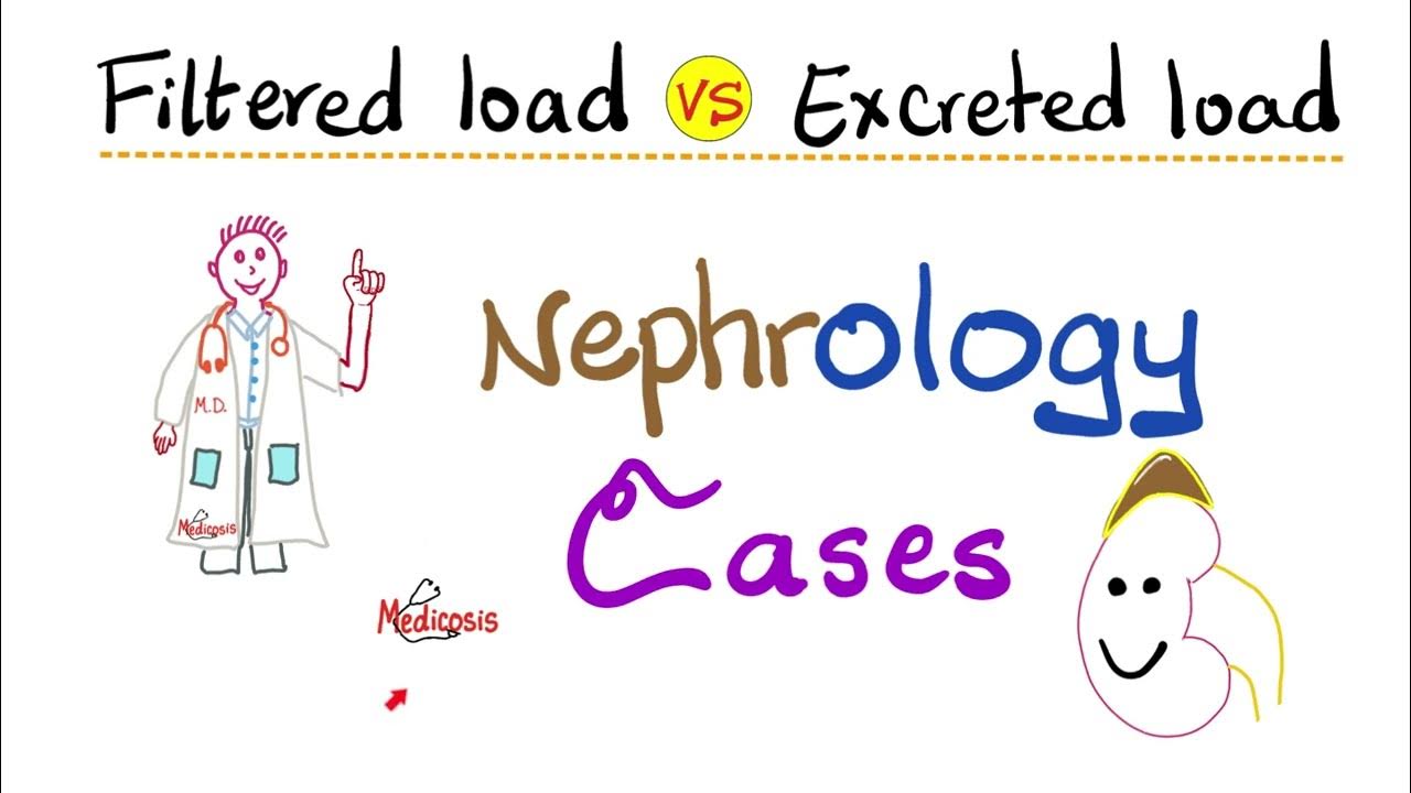 Kidney Physiology Filtered Load, Excreted Load, GFR, Volume