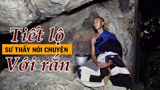 Sư Thích Minh Tuệ tiết lộ bí mật nhà sư ẩn tu trên hang có thể nói chuyện với rắn