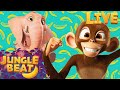 🔴 LIVE: Jungle Beat - Funny Kids Show