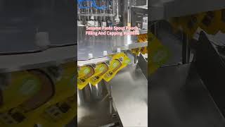 Sesame Paste Spout Pouch Filling and Capping Machine | Automatic Viscous Liquid Packaging Solution