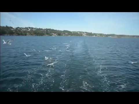 فيروز بتجبلي منو تذكار شي ورقة وشي صورة