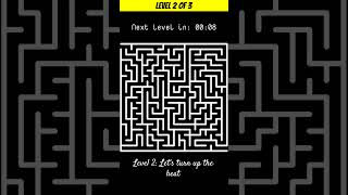 Can You Solve These 3 Maze Puzzles in 60 Seconds? 🧠✨