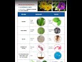 IGCSE Biology Topic 1 – Sneak Preview (Cambridge)