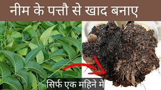 नीम की पत्तियों से बनाए खाद। neem leaf mold at Home. Neem ki khad kaise banaye