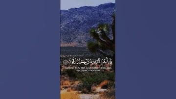 ولا تحسَبنَّ الذِينَ قُتِلُو فِي سَبِيل اللَّه أَموَاتَا |#سورة_آل_عمران | #محمد_اللحيدان