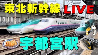 JR宇都宮駅 東北新幹線、ライトライン乗車後面展望LIVE【ラッコ隊長