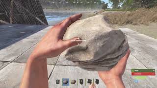 How To Move A Body bag in Rust