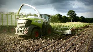 Lohnunternehmen Blunk Im Mais 2018 Claas Jaguar 980 Fendt Traktoren