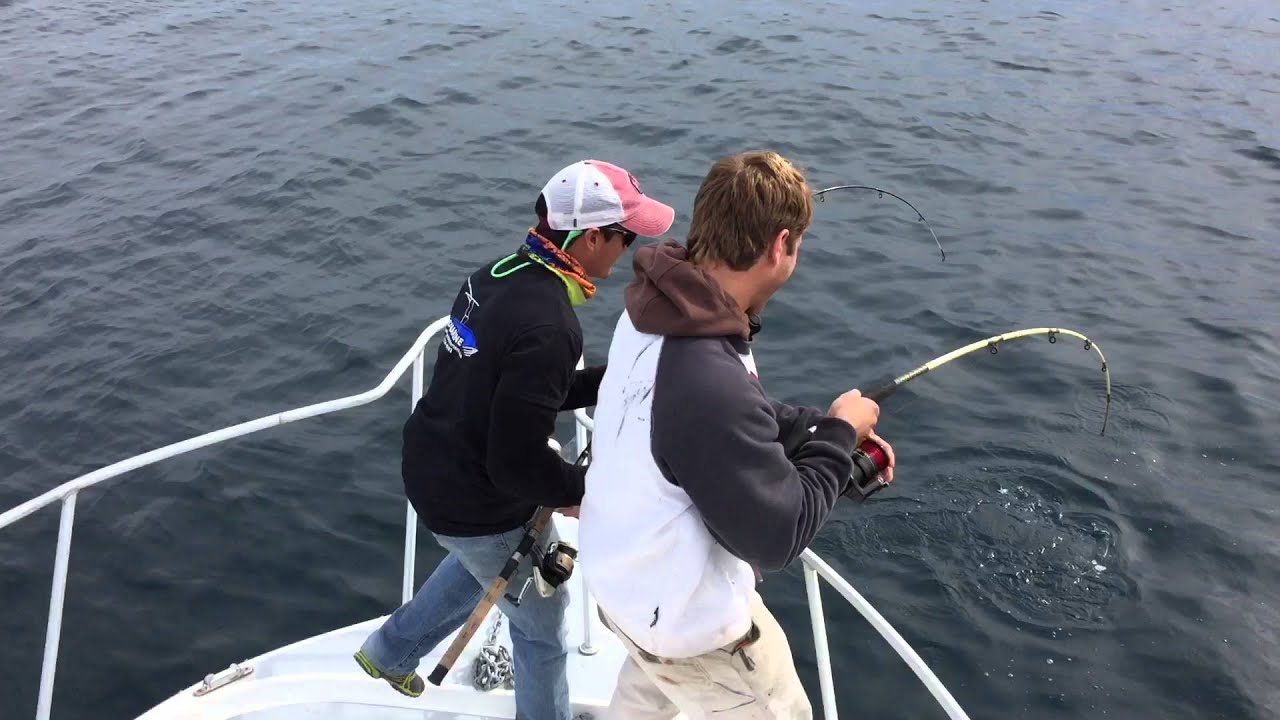 Fishing offshore in Charleston, SC - YouTube