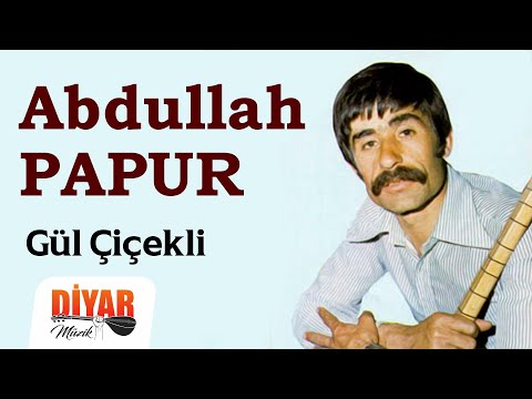 Abdullah Papur - Gül Çiçekli (Official Audio)