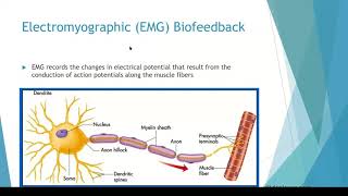 Biofeedback and the Pertinence of its Use in Pelvic Health by CLAUDIA BROWN, PT, BS  |  PART 1