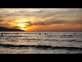 Fishermen are pulling the net- Mỹ Khê Beach- Đà Nẵng- Việt Nam