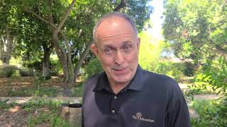 Easy water saving tips from Frank McDonough