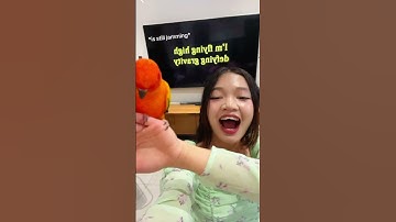 Thumbnail of DEFYING GRAVITY WITH MY BBY 💚💚💚🦜