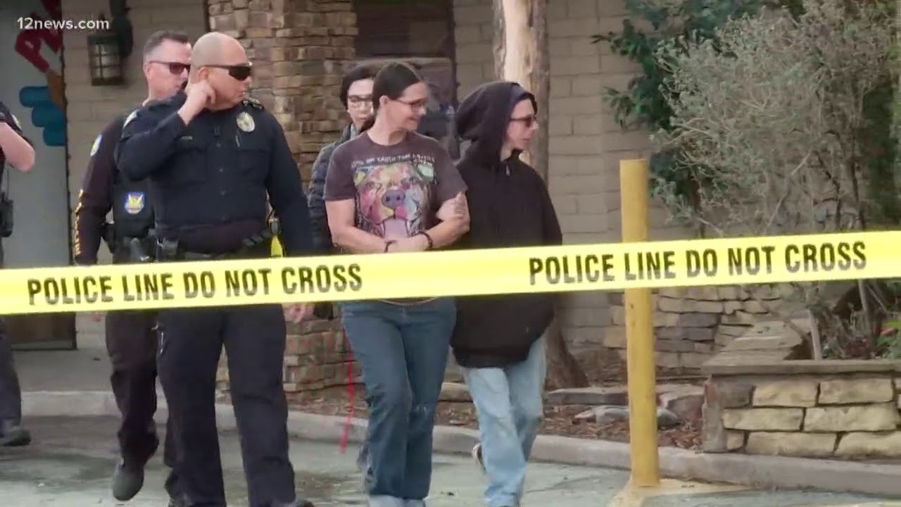 More than 200 animals seized from Phoenix pet resort - YouTube