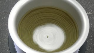 Circular Motion: Last Bean Standing   xmdemo 096
