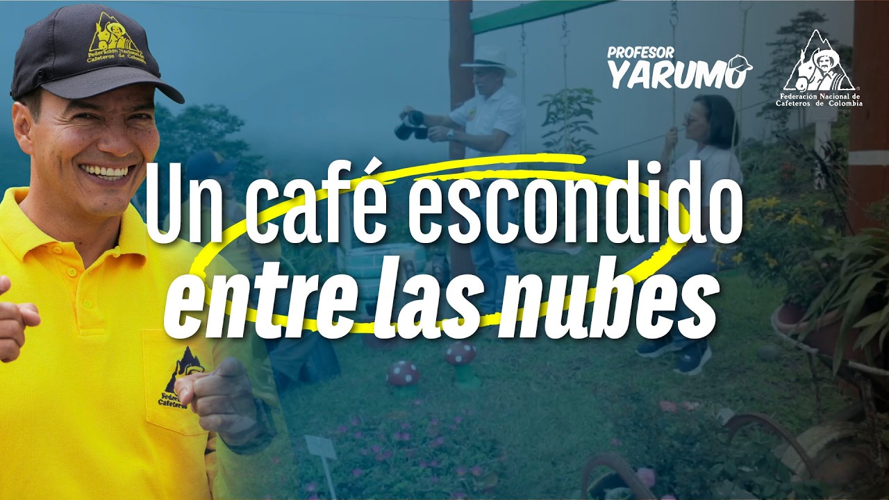 LAS AVENTURAS DEL PROFESOR YARUMO: UN CAFÉ ESCONDIDO ENTRE LAS NUBES