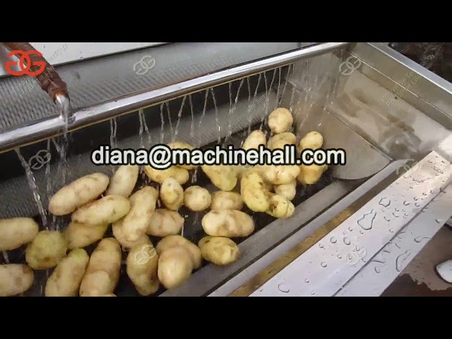 Brush Roller Potato Washing Machine With Parallel Type