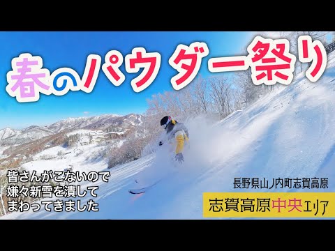 3月下旬なのにうっかり新雪が降りまして◆志賀高原 中央エリア【ゲレンデレポート】