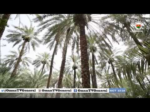 أسماء في التاريخ الشاعر حميد بن محمد بن رزيق الشهير ب إبن رزيق الأربعاء ٢٢ رمضان ١٤٣٤ه