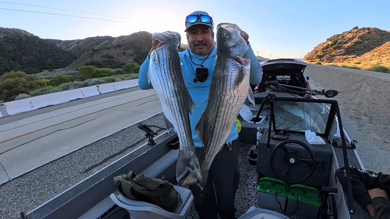 Catching Big Stripers At Pyramid Lake