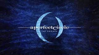A Perfect Circle   The Doomed Audio 2018******