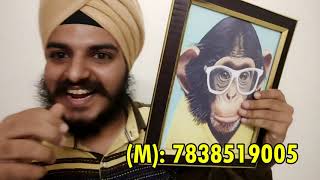 Monkey Magic Gurdeep Singh Babbar (M): 7838519005 screenshot 5