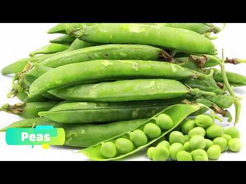 Video: Container Grown Salad Greens - Mga Tip Sa Paano Magtanim ng Salad Sa Isang Palayok