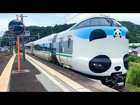[Japonya'da günlük yaşam] Büyük bir şehirde çalışan panda ekspres treni