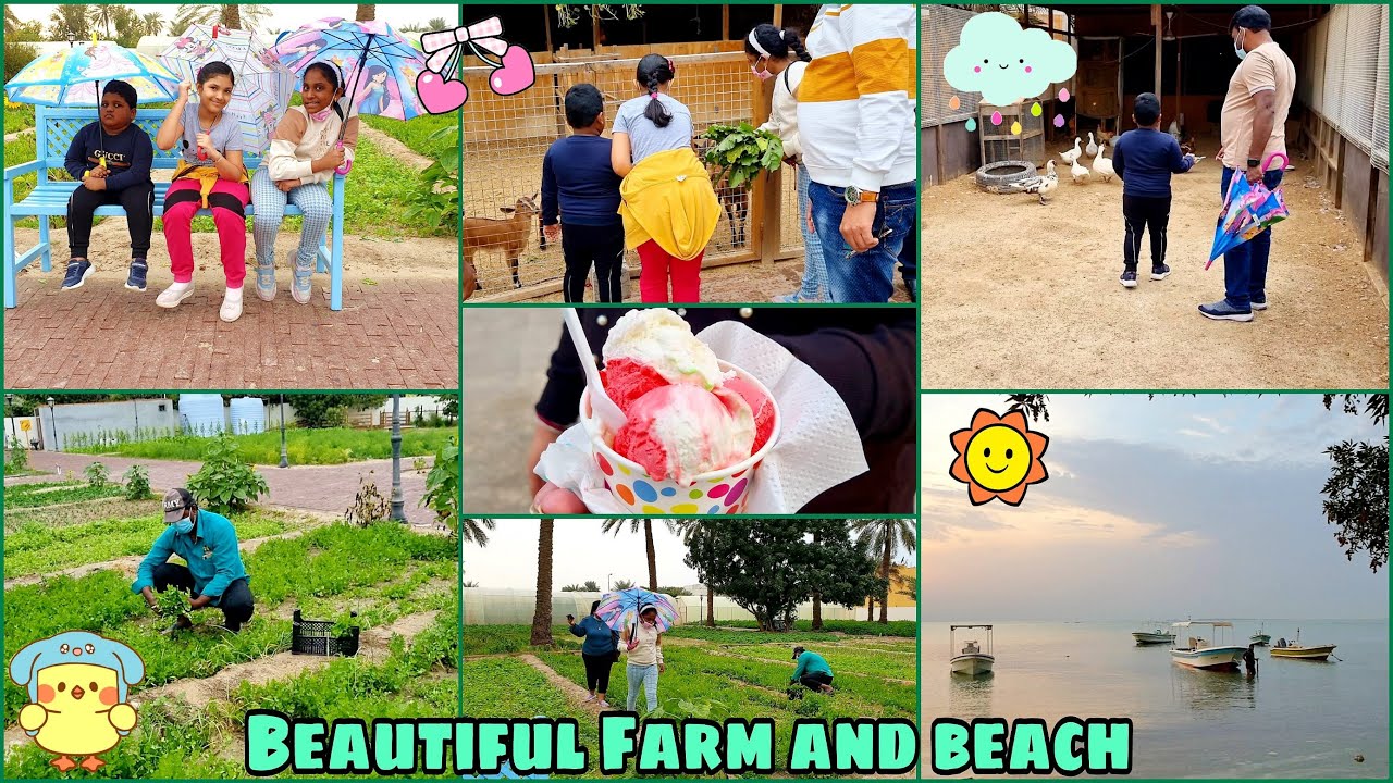 Vegetable Picking At The Farm In Bahrain JASRA FARM Kids Fun Feeding Farm Animals/DAMISTAN