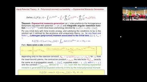 Prof. Irene M. Gamba | Boltzmann flows  in a general framework: from the classical, to gas... to...