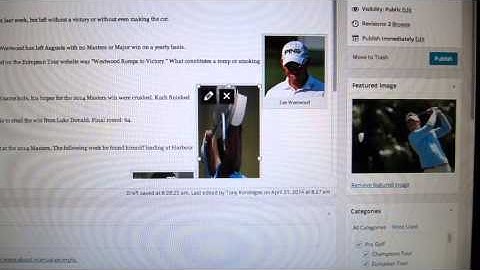 Wordpress 3.9 Image bugs