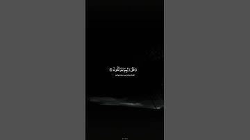 (الَّذِينَ صَبَرُوا وَعَلَى رَبِّهِمْ يَتَوَكَّلُونَ) القارئ عبد الرحمن مسعد🎧💙