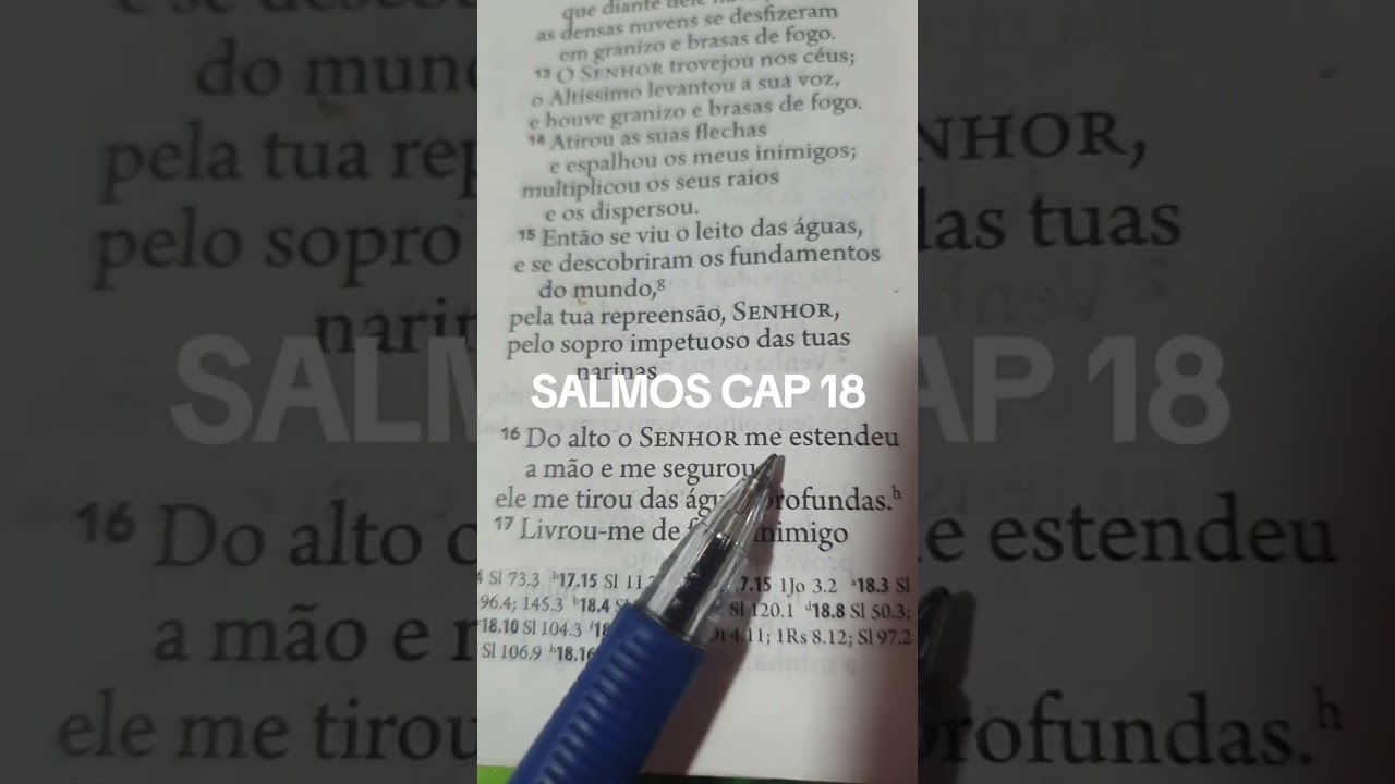 QUINTA FEIRA 19/02/2026. ORAÇÃO DA MANHÃ. SALMOS CAP 18