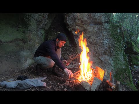 Video: Come Vivere Nella Foresta
