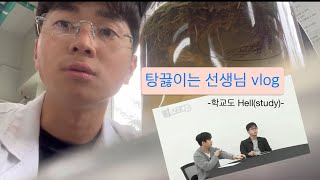 헬스터디쌤의 본캐 vlog (탕탕탕 침후루) 수학하는 한의대생