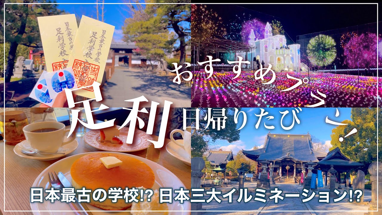 【 足利 】 日本をもっと好きになる！足利のたび┊足利学校┊あしかがフラワーパーク┊旅行Vlog ┊Ashikaga trip