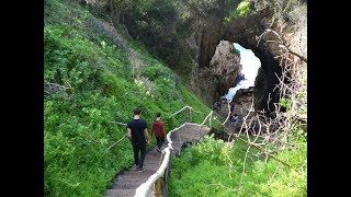 The most beautiful walk in the world  Knysna Featherbed Eco Experience