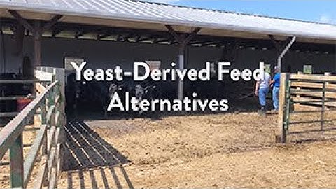 Shenandoah Valley AREC Field Day 2020 - Yeast-Derived Feed Additives